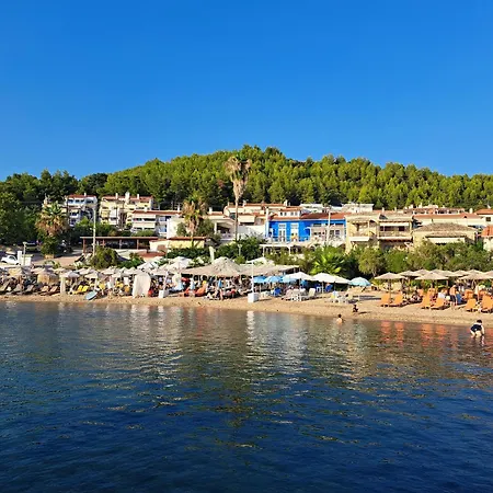 Indigo * Agia Paraskevi (Kassandra)